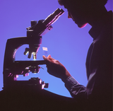 Myoform Genetic Upload